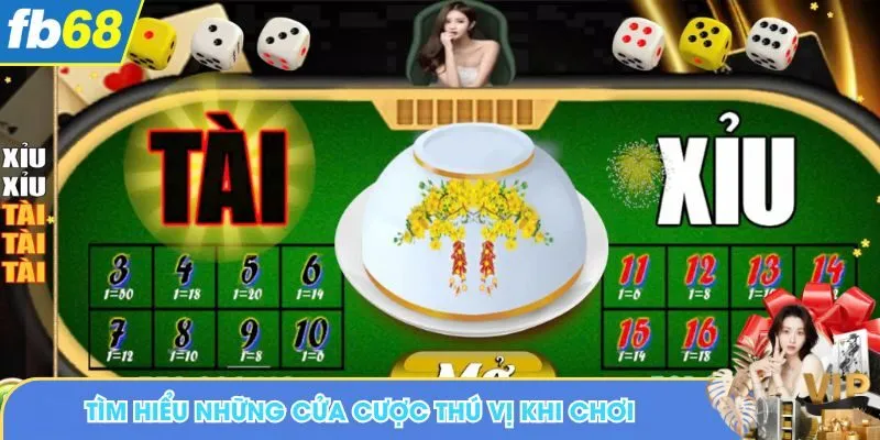 Tìm hiểu những cửa cược thú vị khi chơi