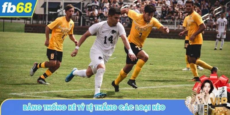 Bảng thống kê tỷ lệ thắng các loại kèo