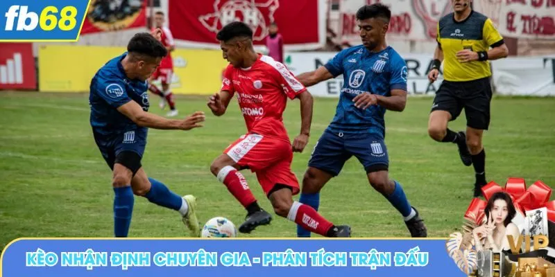 Kèo nhận định chuyên gia