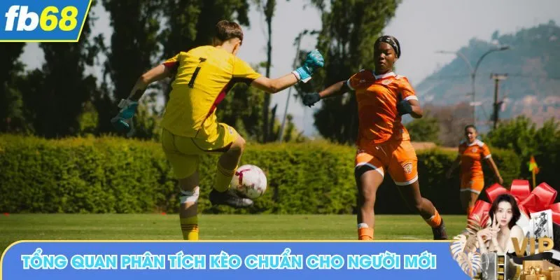 Tổng quan phân tích kèo chuẩn dành cho người mới